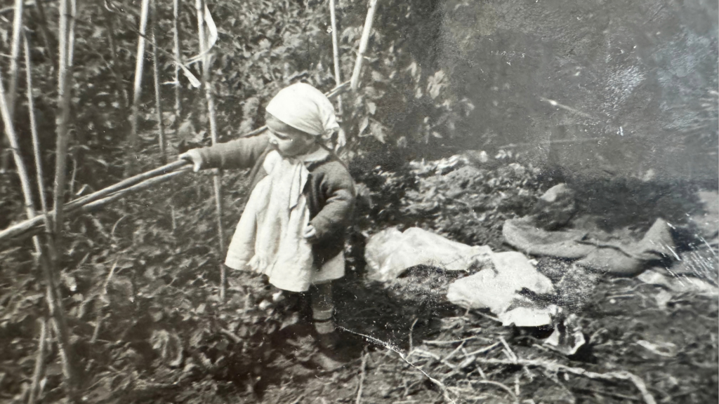 One-year-old Michelle Tissi helping with tomato vines in Pachino, Sicily, Italy.